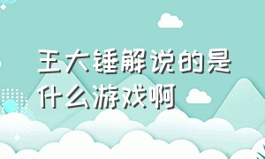 王大锤解说的是什么游戏啊