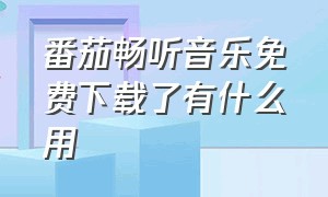 番茄畅听音乐免费下载了有什么用