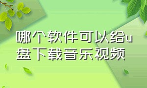 哪个软件可以给u盘下载音乐视频