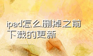 ipad怎么删掉之前下载的更新