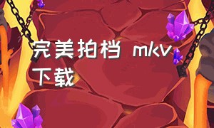 完美拍档 mkv 下载