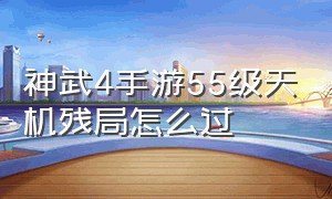 神武4手游55级天机残局怎么过