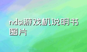 ndsi游戏机说明书图片