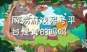 网易游戏买号平台是真的吗吗