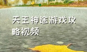 天王神途游戏攻略视频