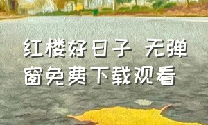 红楼好日子 无弹窗免费下载观看