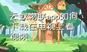 云蚁物联app如何下载在电视上看视频