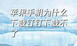 苹果手机为什么下载钉钉下载不了