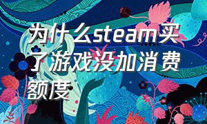 为什么steam买了游戏没加消费额度