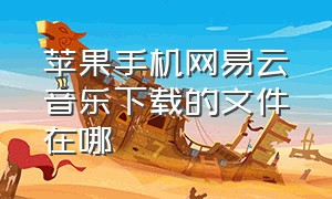 苹果手机网易云音乐下载的文件在哪