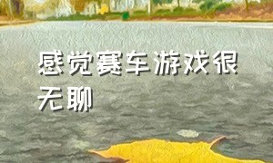 感觉赛车游戏很无聊