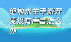 绝地求生手游开麦没有声音怎么办