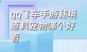 qq飞车手游秘境道具宠物哪个好看