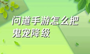 问道手游怎么把鬼宠降级