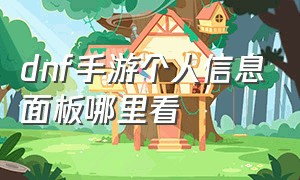 dnf手游个人信息面板哪里看