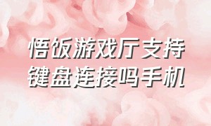 悟饭游戏厅支持键盘连接吗手机