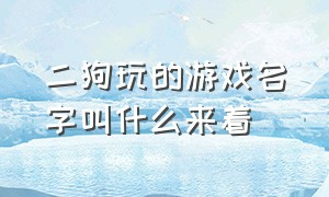 二狗玩的游戏名字叫什么来着