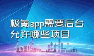 极氪app需要后台允许哪些项目