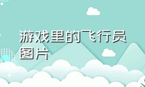 游戏里的飞行员图片