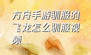 方舟手游驯服的飞龙怎么驯服视频