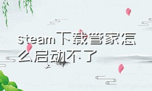 steam下载管家怎么启动不了