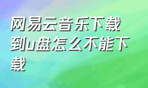 网易云音乐下载到u盘怎么不能下载