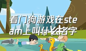 看门狗游戏在steam上叫什么名字