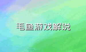 毛鱼游戏解说