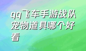 qq飞车手游战队宠物道具哪个好看