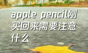 apple pencil刚买回来需要注意什么