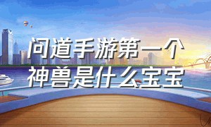 问道手游第一个神兽是什么宝宝