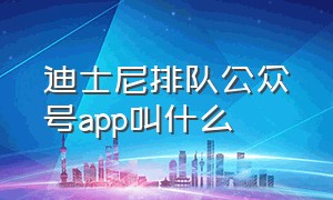 迪士尼排队公众号app叫什么