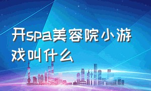 开spa美容院小游戏叫什么