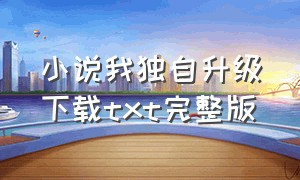 小说我独自升级下载txt完整版