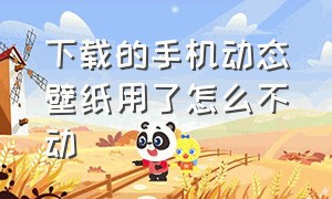 下载的手机动态壁纸用了怎么不动