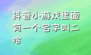 抖音小游戏里面有一个名字叫二哈