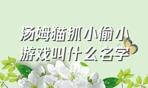 汤姆猫抓小偷小游戏叫什么名字